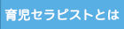 �玙�Z���s�X�g�Ƃ́H
